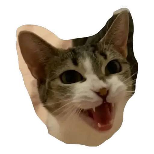 m.AltDecorativeImage